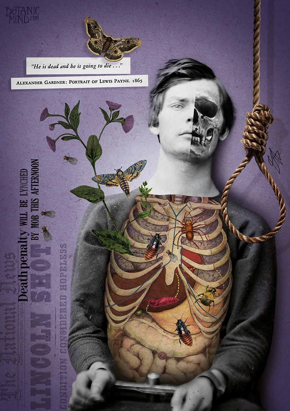 LewisPayne_BotanicMind